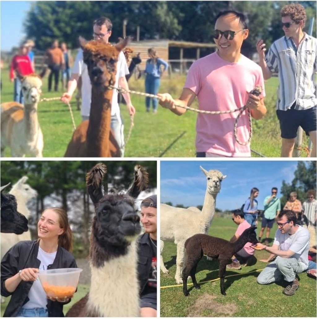 product_list_image_cover