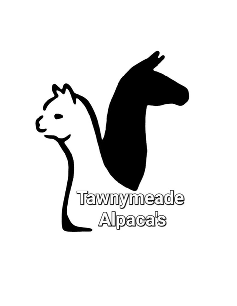 Come meet our alpaca's 