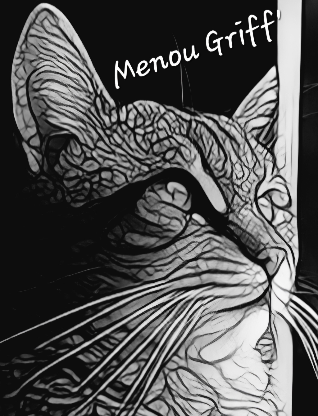 banner_image
