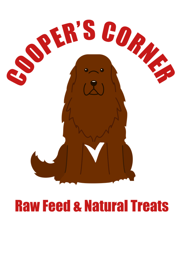 store_logo