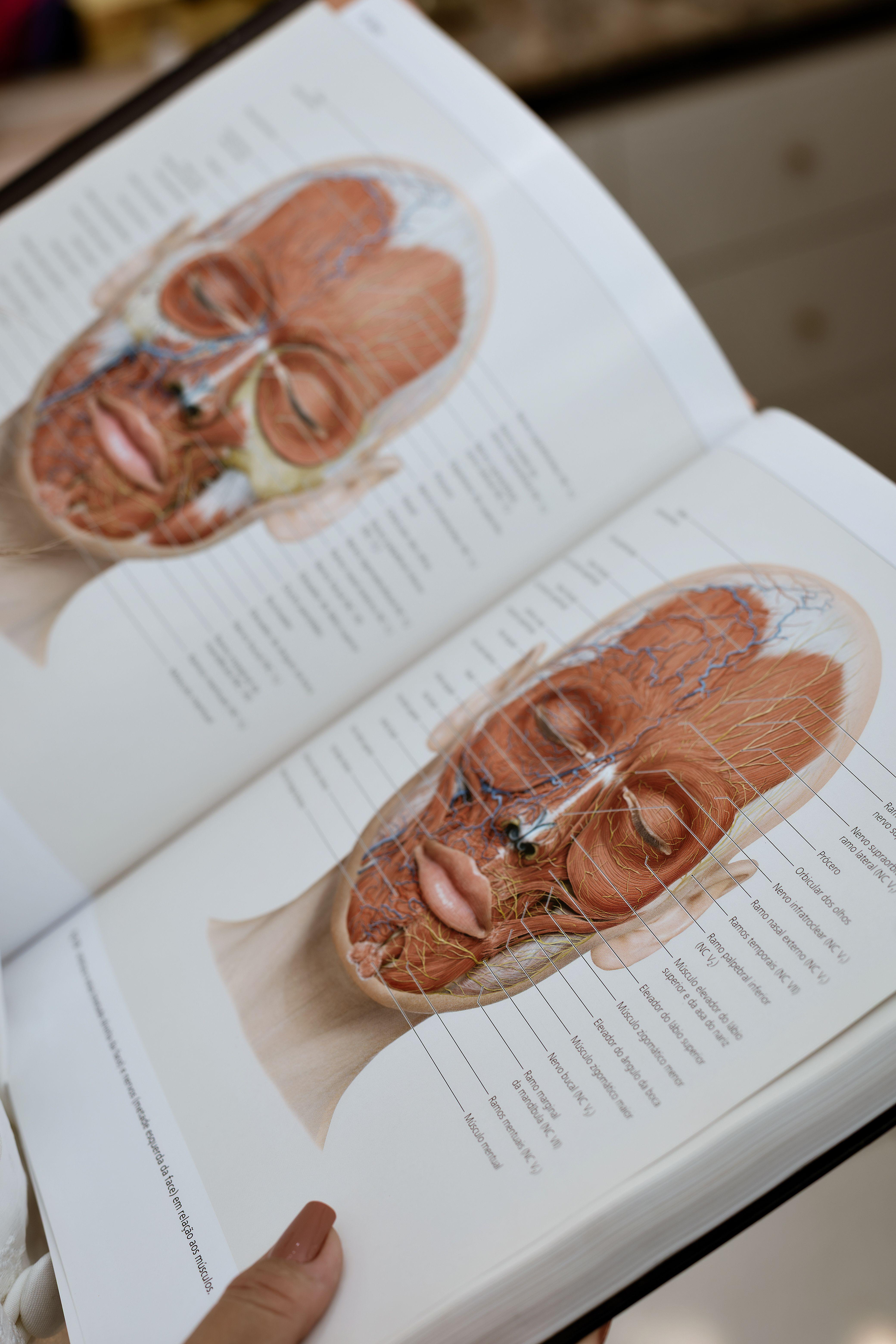 La fisioterapia estética ayuda a mejorar la calidad y elasticidad de la piel, reducir la fibrosis y los edemas, favorecer el retorno venoso y linfático, tratar cicatrices y acelerar la recuperación tras una cirugía. Además, contribuye a disminuir la flacidez, mejorar la funcionalidad de los tejidos y aumentar el bienestar y la calidad de vida.