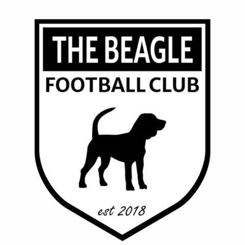 Beagle Boys Making All The Noise