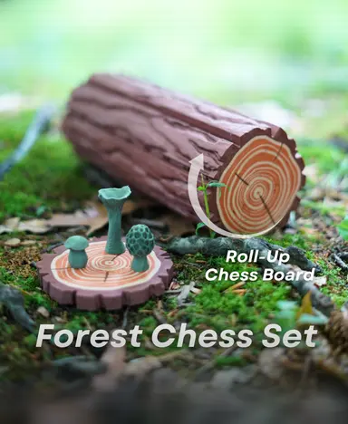 Echecs & Jeux