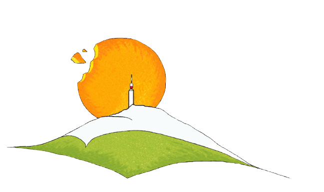 biscuiterie de Provence artisanale : sablés et biscuits gourmands, apéritifs pur beurre