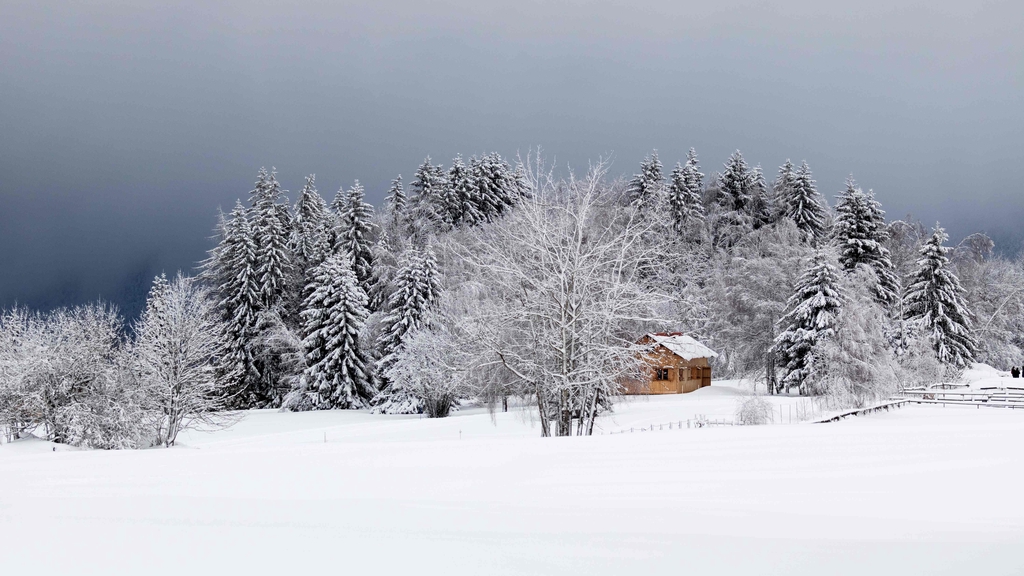 Chalet en lisière d'une forêt enneigée