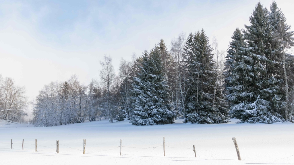 banner_image