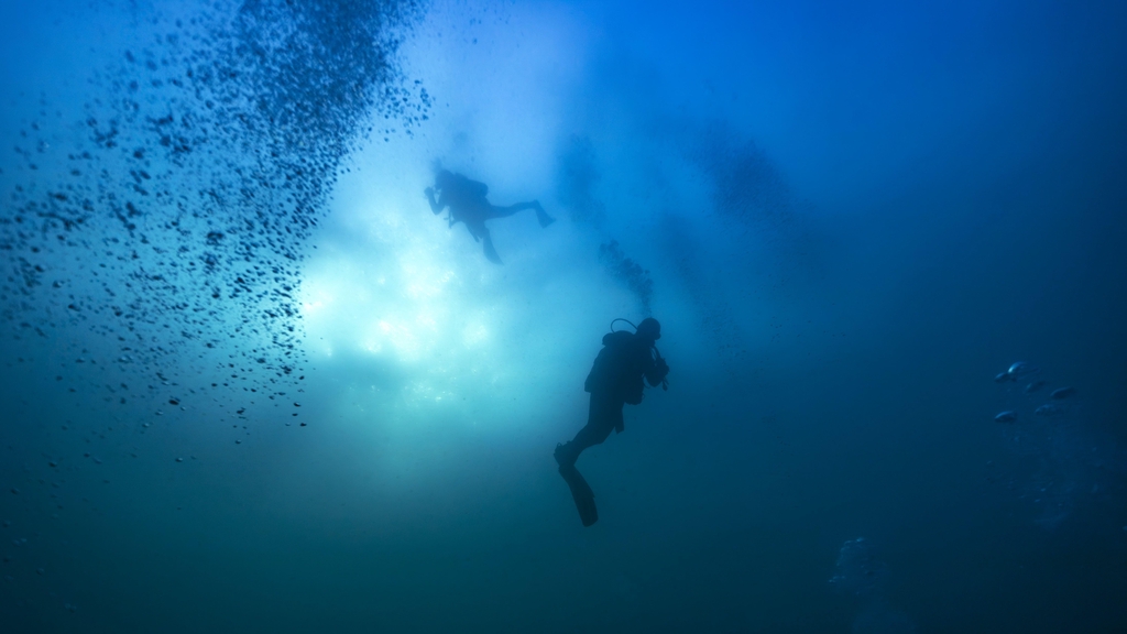 Plongeurs sous l'eau