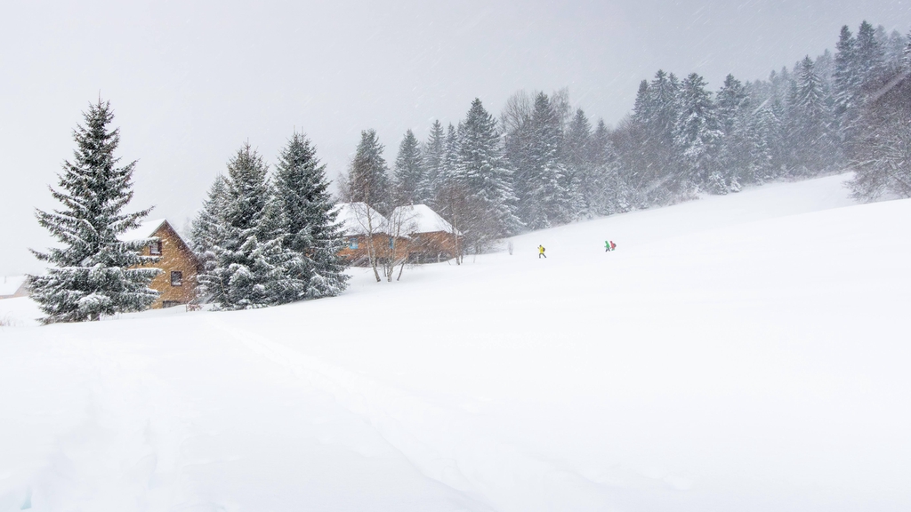 Marcheurs sous la neige