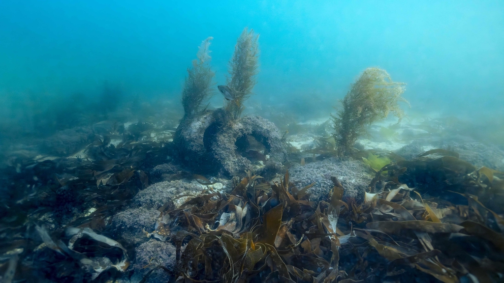Pneux au fond de l'eau