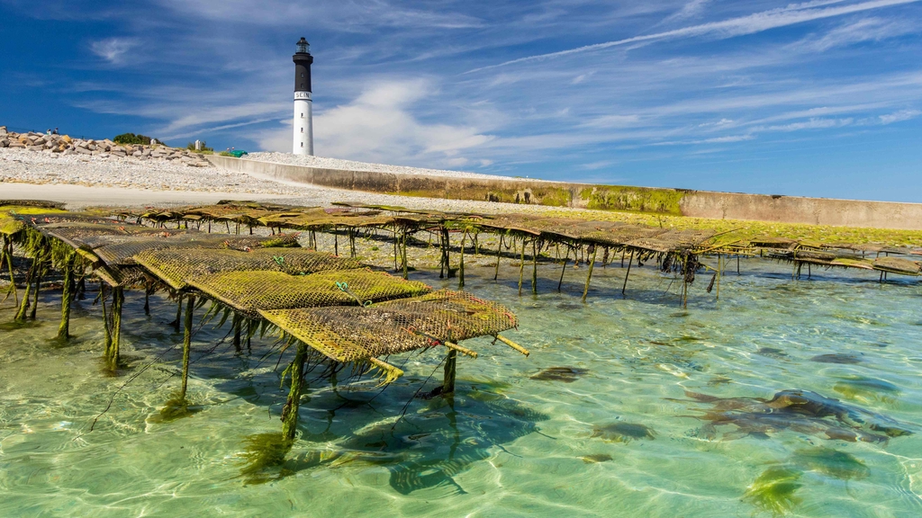 Phare et parc à huîtres, Île de Sein