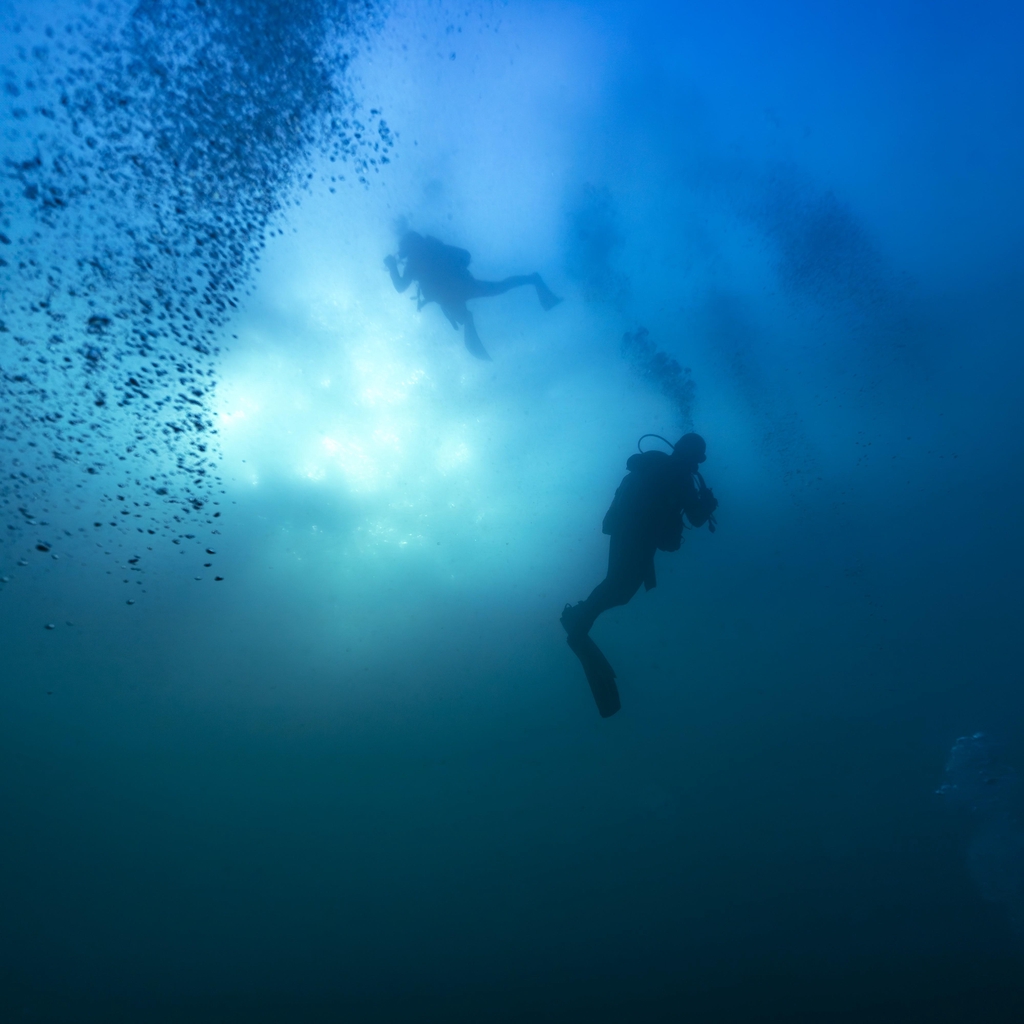 Sous la surface