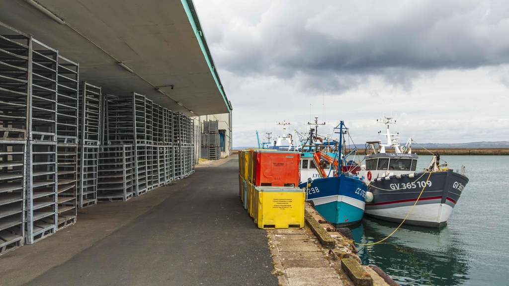 Sardiniers à Douarnenez