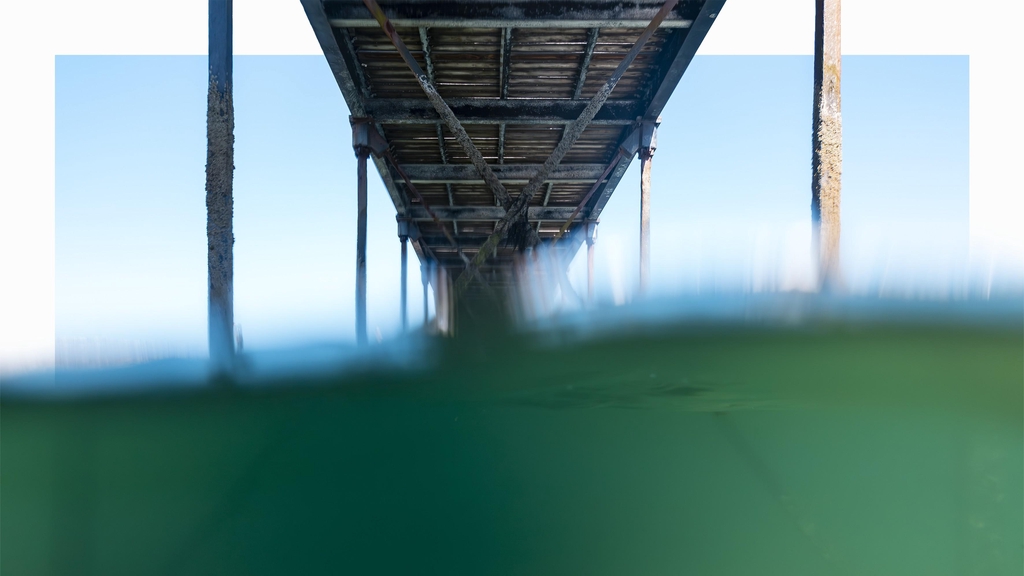 banner_image