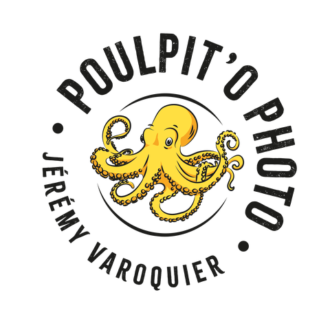store_logo