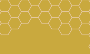 100% Pure, Natural, Ethical, Real Local Honey