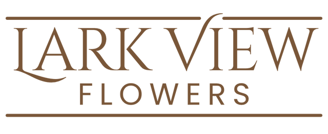 store_logo
