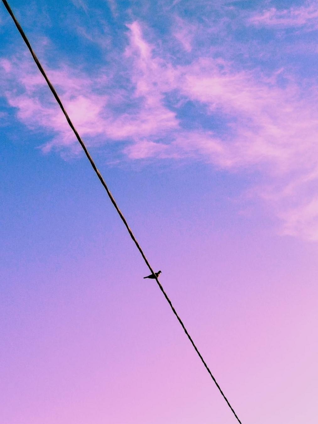 banner_image