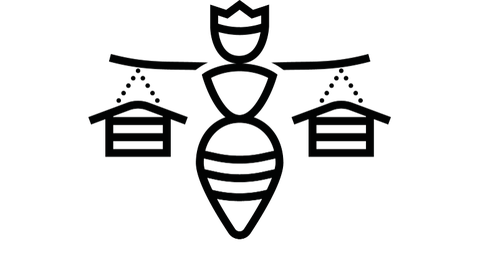 Boutique La Ruche Piquet
Produits de la ruche
Miels, bonbons, caramiel, nougats, chocolats, pains d’épices, bougies, savons, baume à lèvres, coffrets, gamme Propolia …