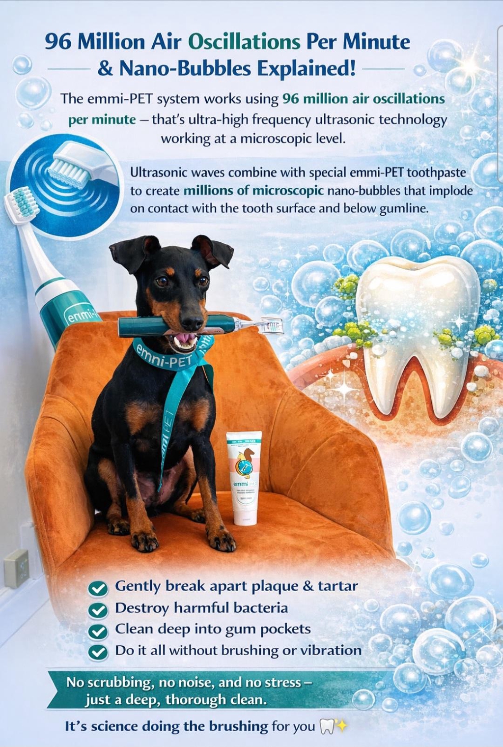 Edith Appoves of emmi-PET Ultrasonic teeth Cleaning