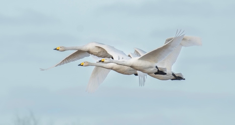 Visually stunning pieces of nature photography with an art gallery touch.
Each photo has mesmerising depth, won't fade from sunlight or contact damage....will last a lifetime.

