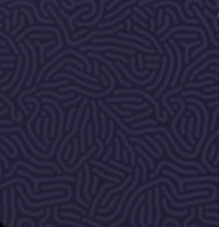 VibeWerk 