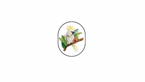 📦 Modèles uniques - Expédition sous 48h - Livraison offerte dès 75€