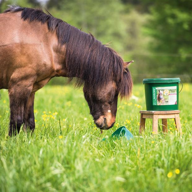Agrobs paardenvoer