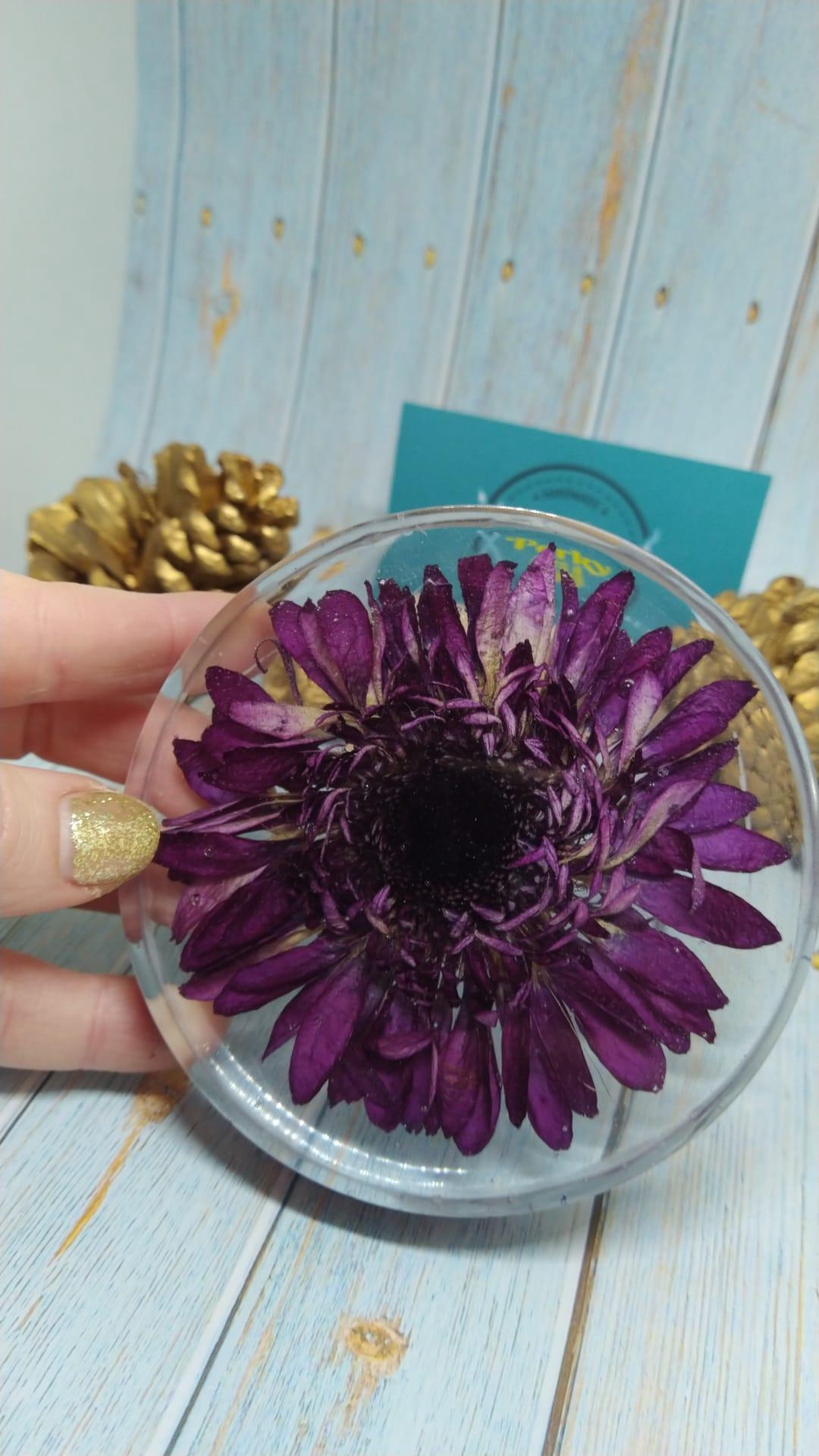 Gerbera coaster!