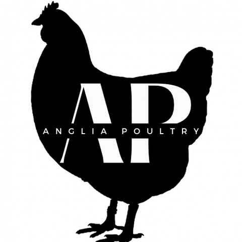 store_logo