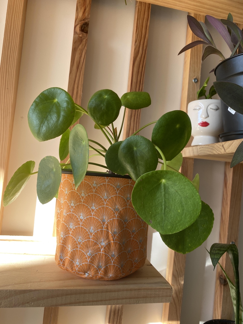 Cache-pot personnalisé