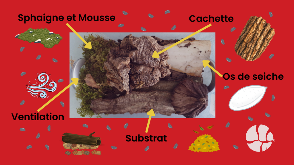 Guide installation des cloportes