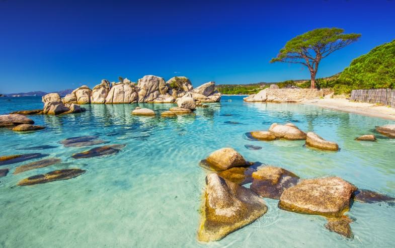 ☀️Fragrances gorgées de Soleil et cosmétiques naturels !🌸