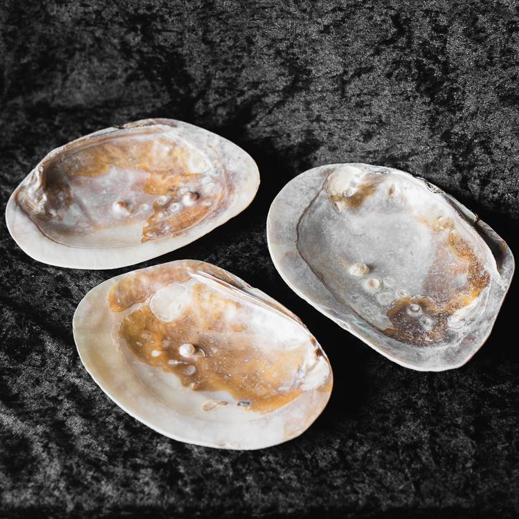 Shells