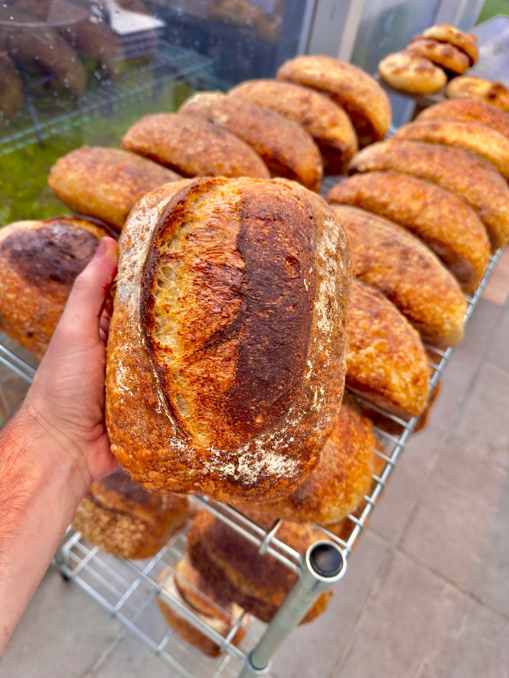 Artisan baker holding fresh sourdough bread at Vitor’s Bread Bar in Newbridge