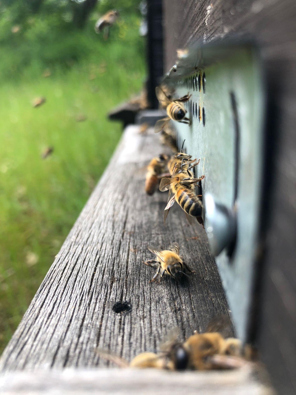 product_list_image_cover