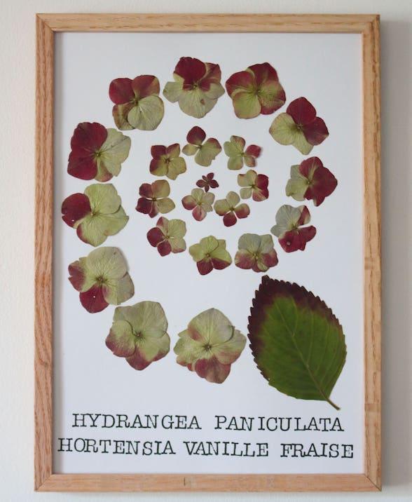 product_list_image_cover