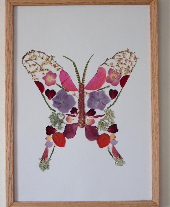 product_list_image_cover