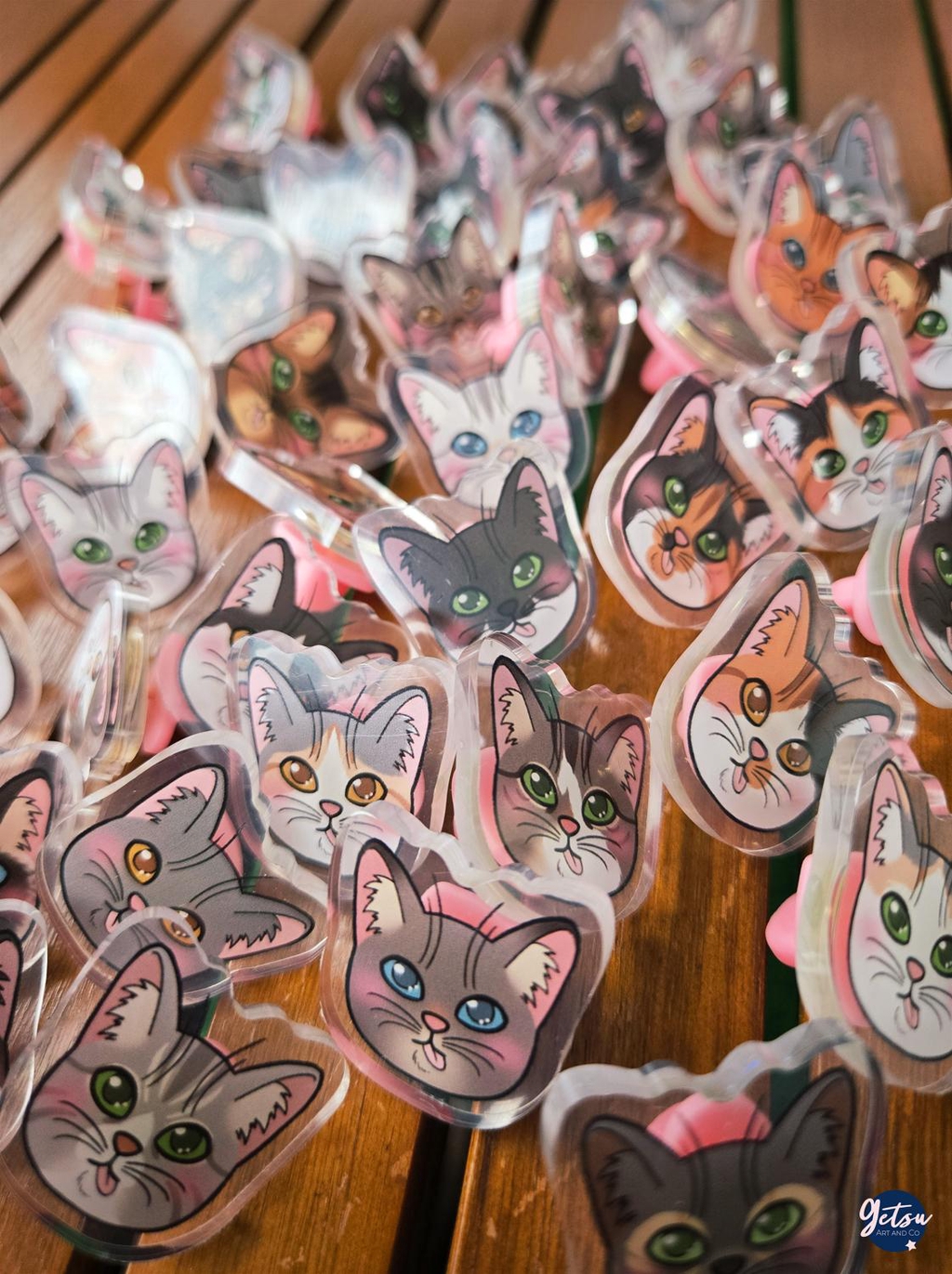 Mini pins de chats pour trouver celui qui ressemble au vôtre