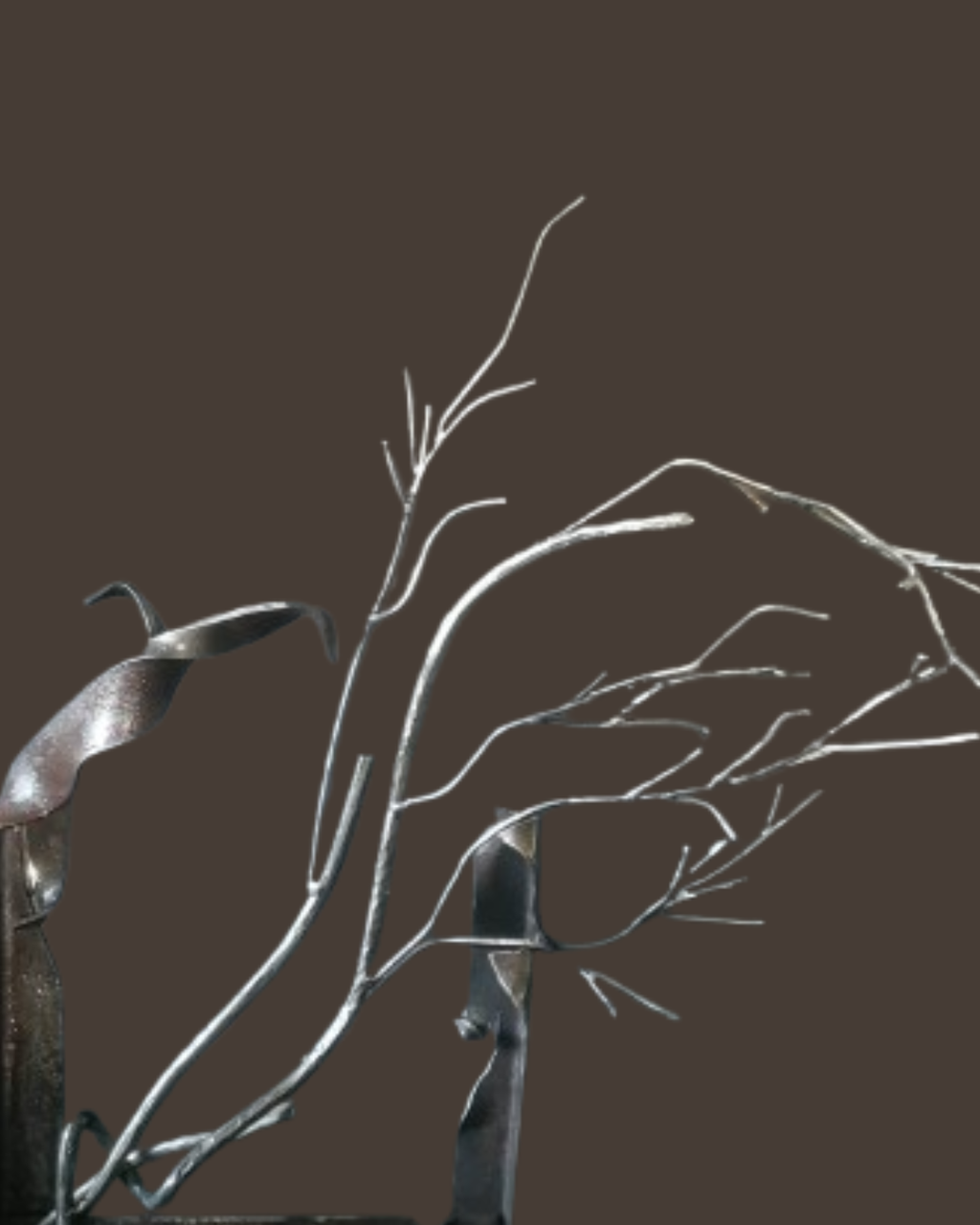 product_list_image_cover