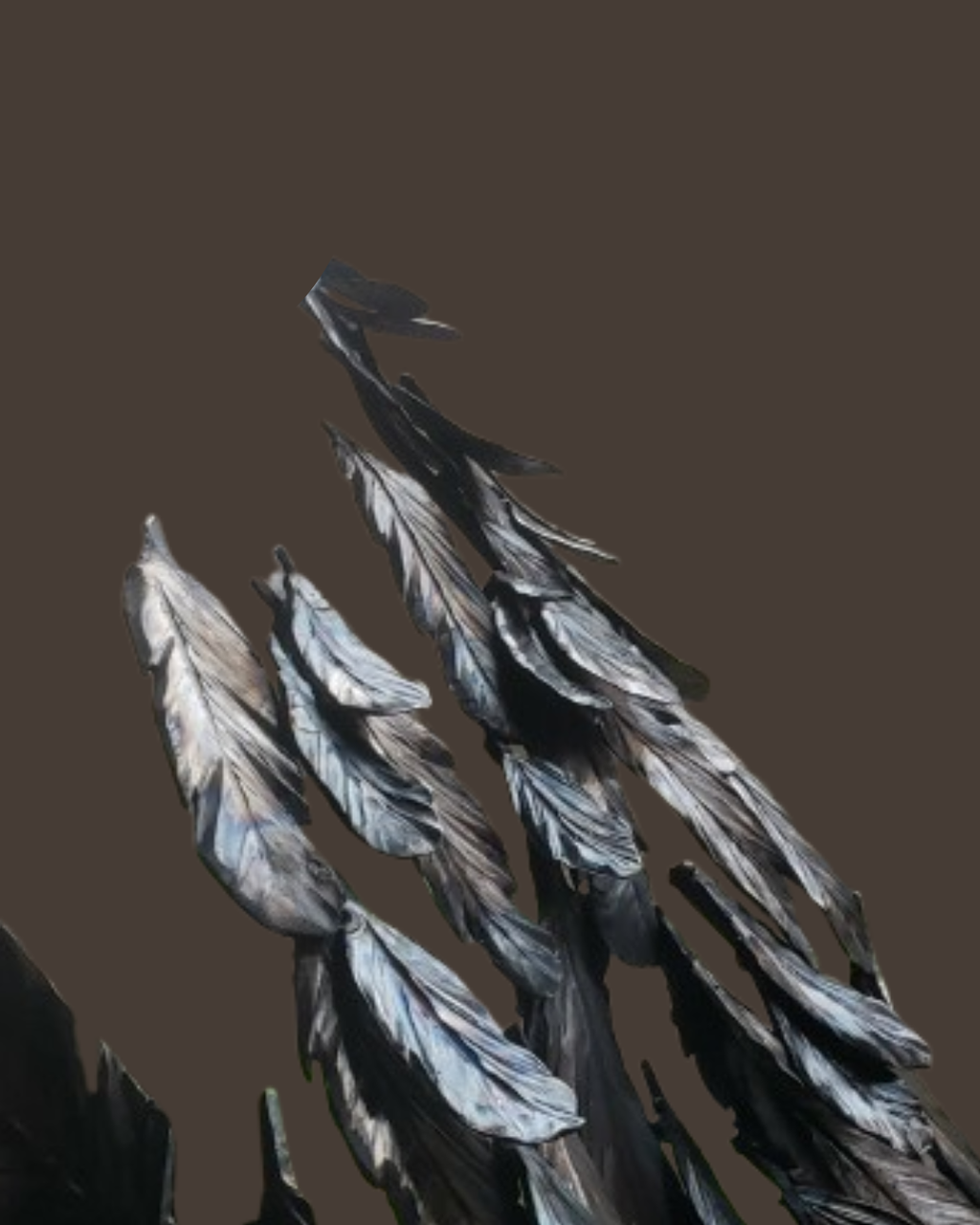 product_list_image_cover