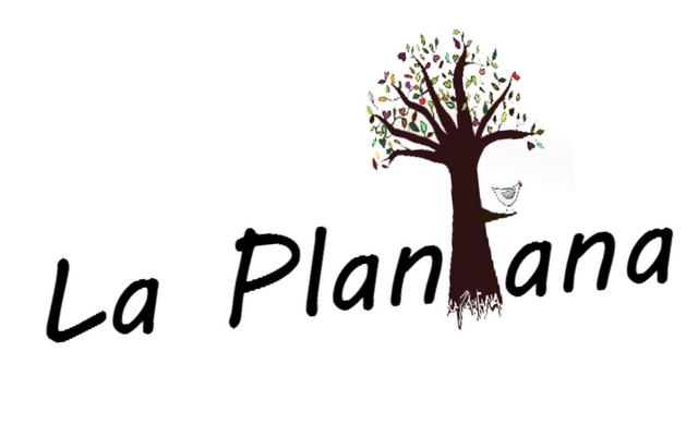 Les bons planTs pour vous et votre jardin !