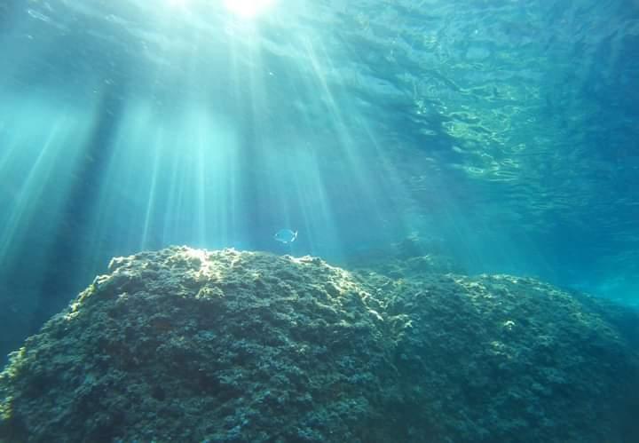 White Boat Tour alla scoperta della costa del Tigullio e di Portofino 