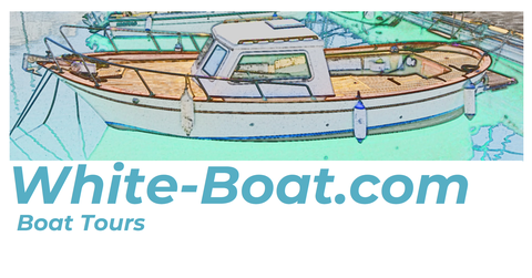 Benvenuto su White Boat! Vieni in barca con noi alla scoperta del golfo del Tigullio e del parco di Portofino 