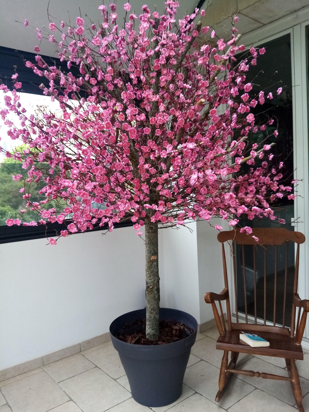 BIENVENUE sur notre e-shop
       faitesentrerlanature
