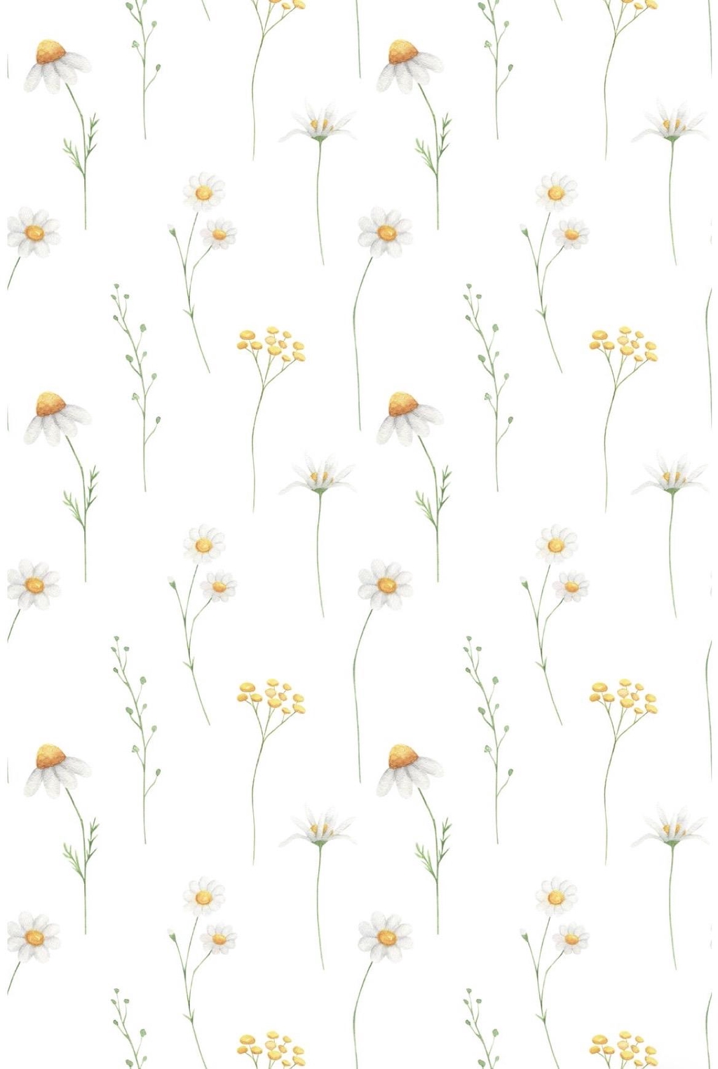 banner_image