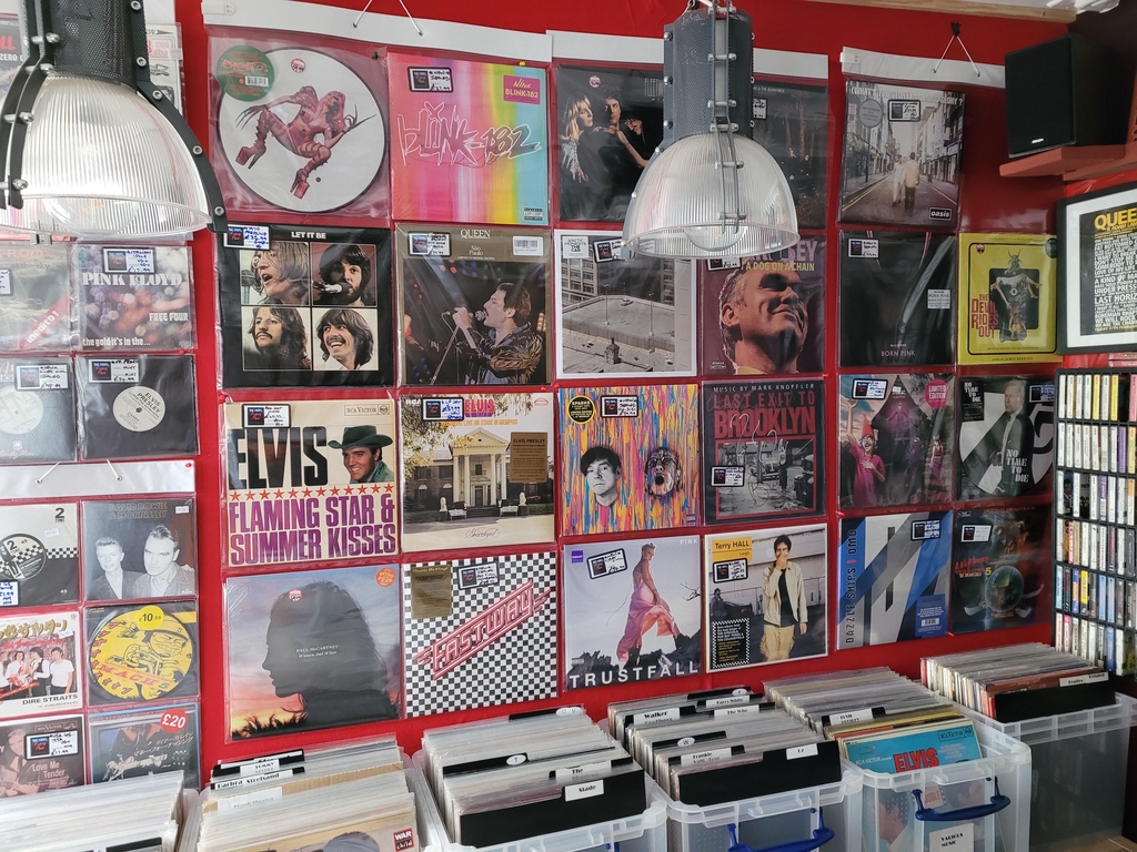 The Vinyl Resting Place