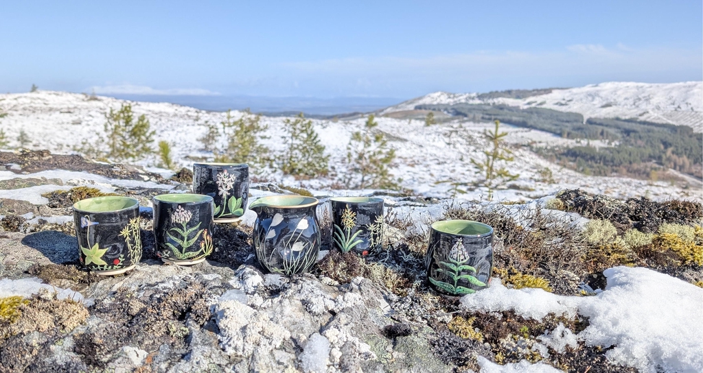 Vase and mugs decorated with bog cotton, butterwort, orchid and sundew designs. In autumnal light next to a loch.