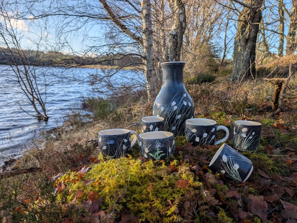 Vase and mugs decorated with bog cotton, butterwort, orchid and sundew designs. In autumnal light next to a loch.