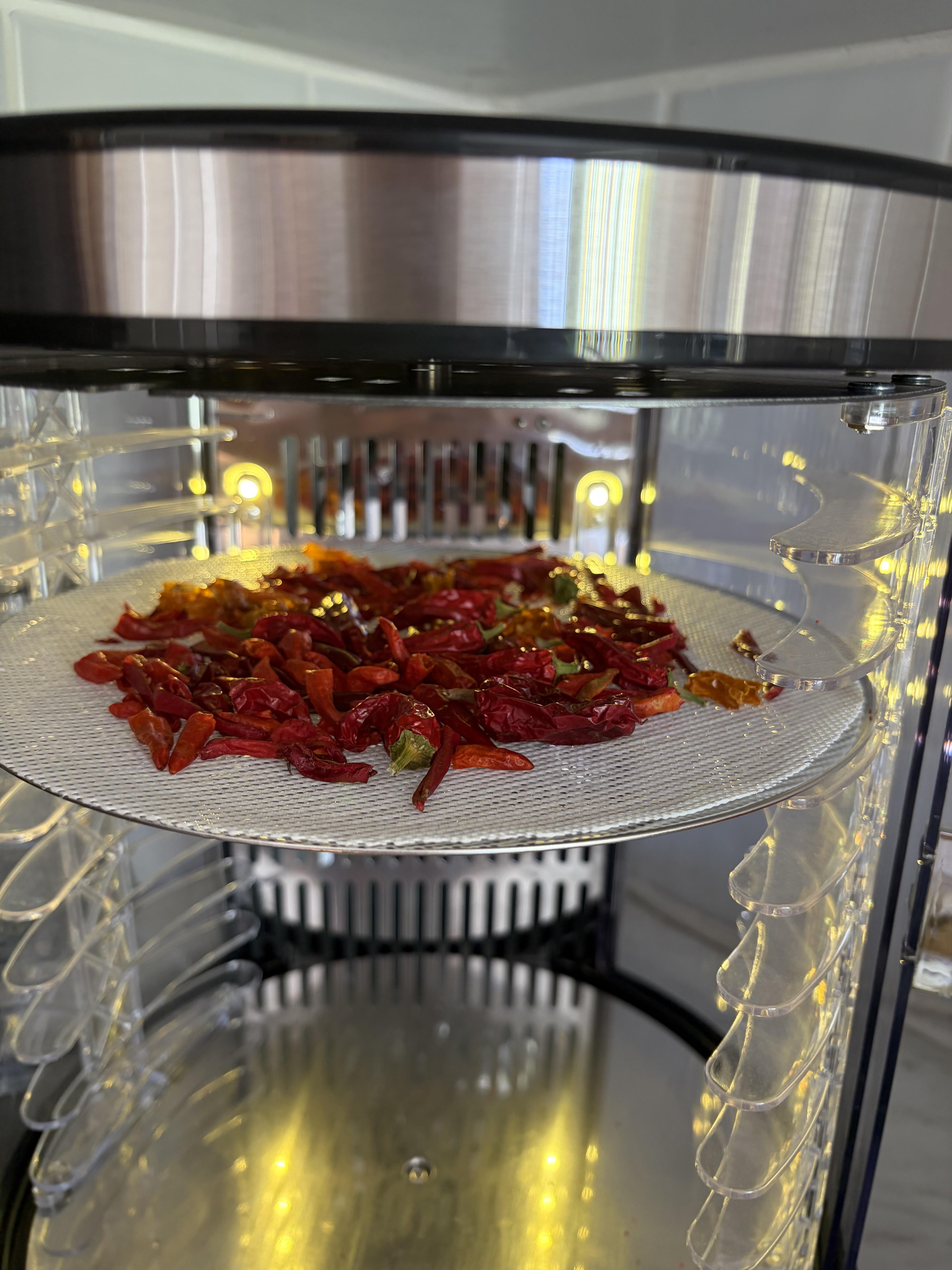 Dried Chilli and Flakes