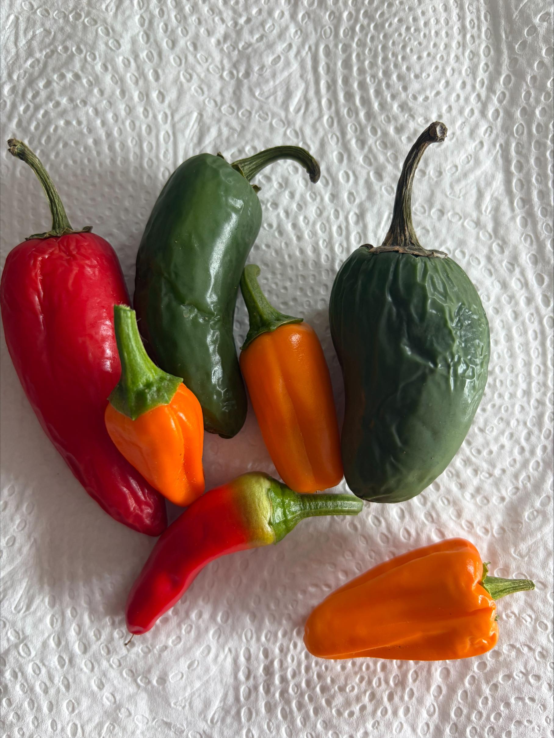 Fresh Chilli